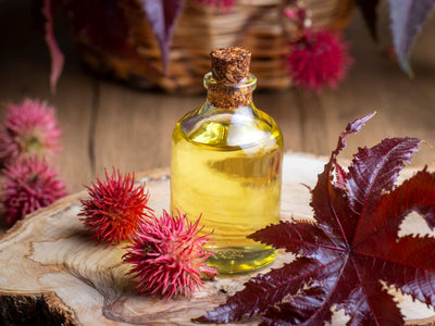 Does castor oil promote hair growth?